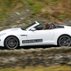 Illustration for article titled This Is Your Jaguar F-Type Mega Gallery